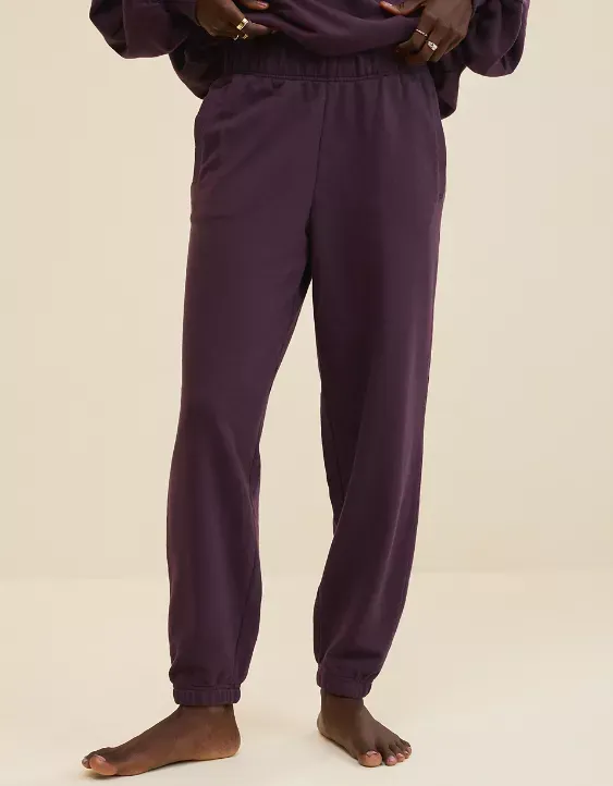 Aerie Jet Setter Jogger