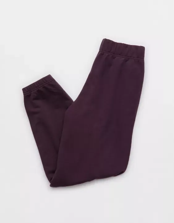 Aerie Jet Setter Jogger