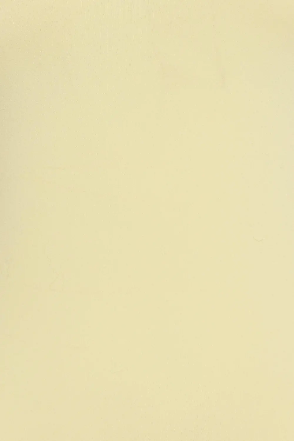 Sleek Sweetheart T Shirt