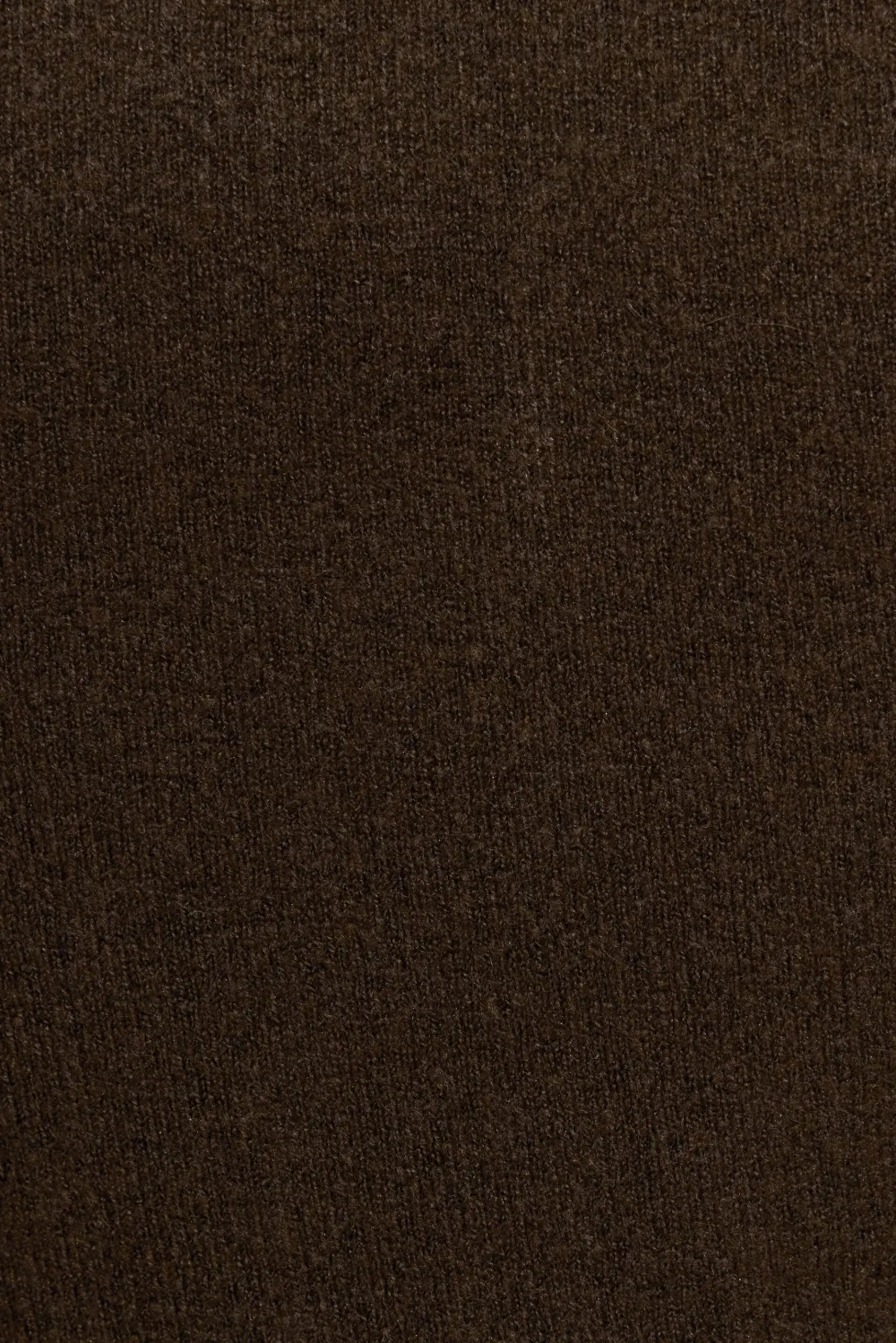 Long Sleeve Spongy Fitted Turtleneck